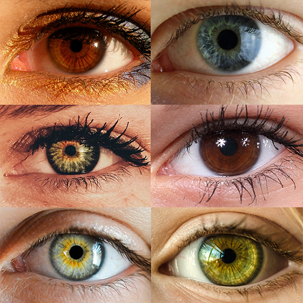 eye-color-trivia-portland-or-rose-city-vision-care